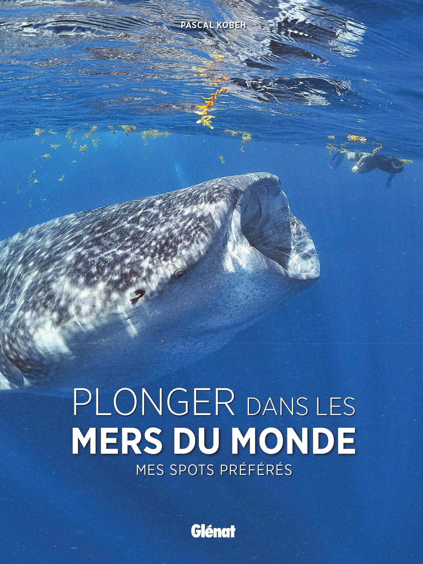 Plonger dans les mers du monde : préparez votre prochain voyage aquatique