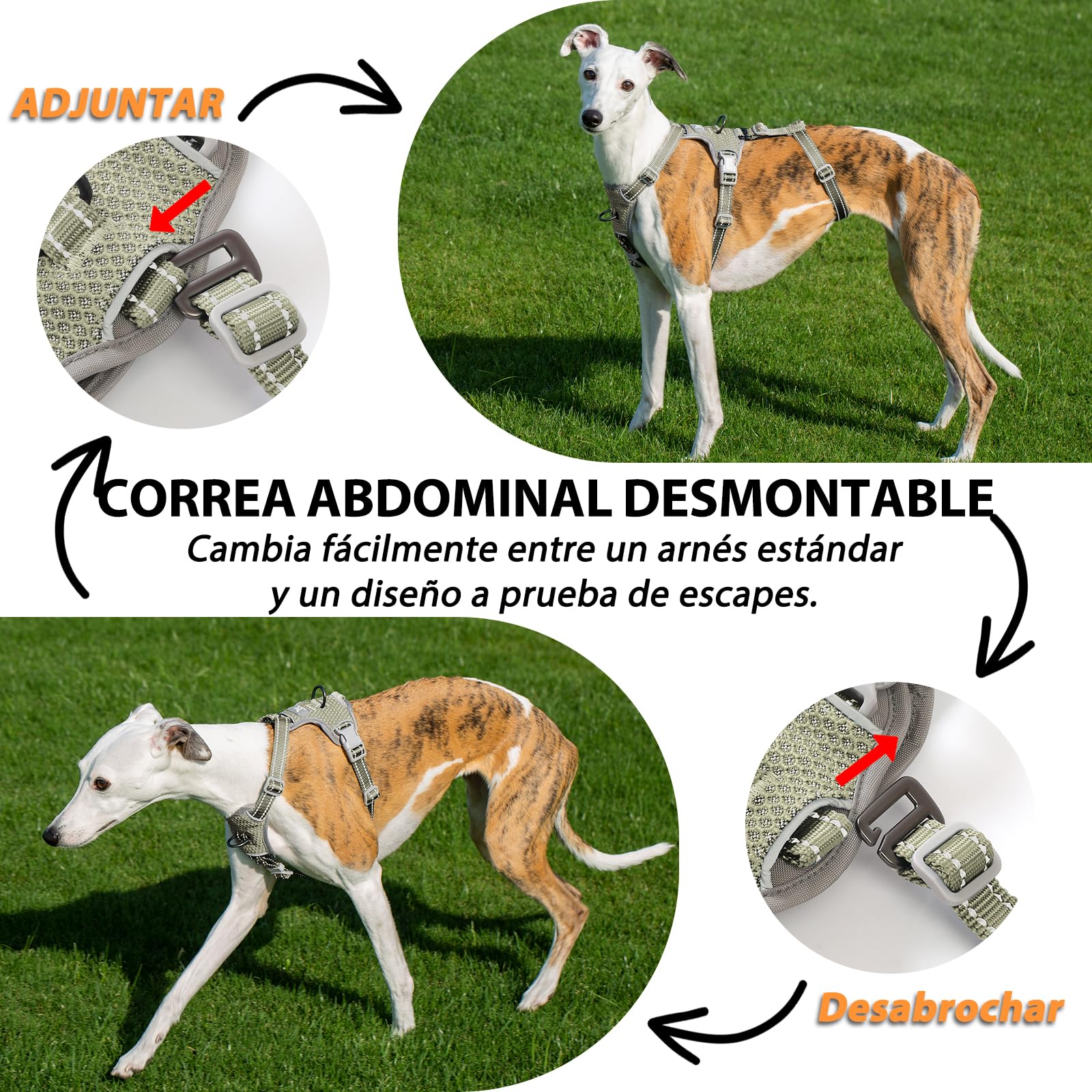 Huntboo Arnes Antiescape Perro Pequeño Mediano Grande, Arnés Antitirones para Perros, Reflectante, Duradero, Chaleco Ajustable y Transpirable para Paseos y Entrenamientos (Verde Militar,M)