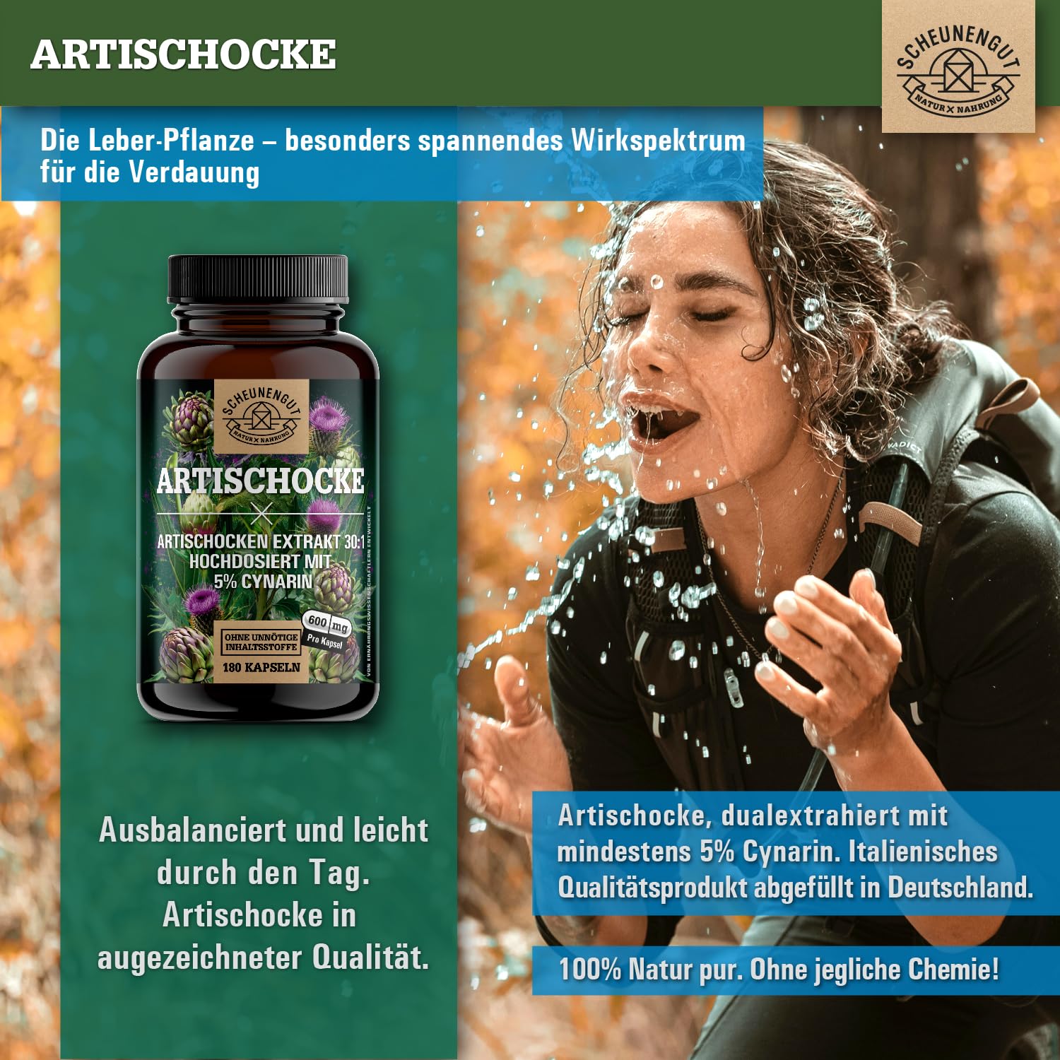 Artischocken Kapseln Hochdosiert 2400mg -WICHTIG: 30:1 Extrakt (=72000mg reine Artischocke je Tagesdosis) +5% Cynarin -Artischockenextrakt- Artischocken Kapseln DE SCHEUNENGUT®