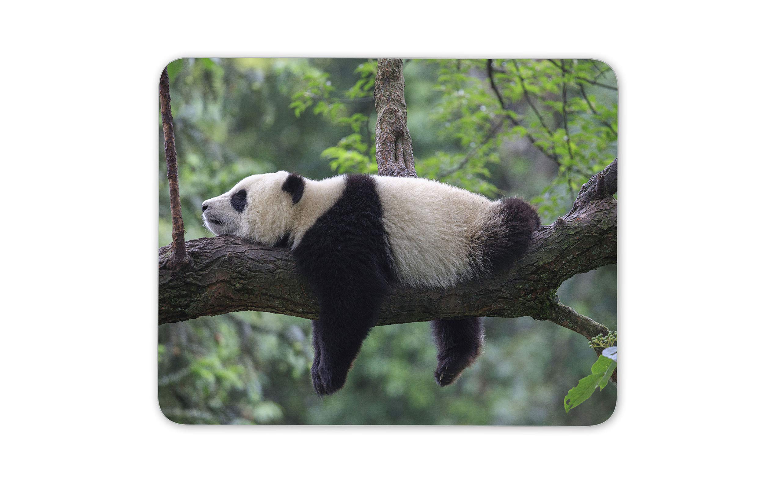 Lazy Panda In The Forest Mouse Mat Pad - Funny Animal Computer #14540