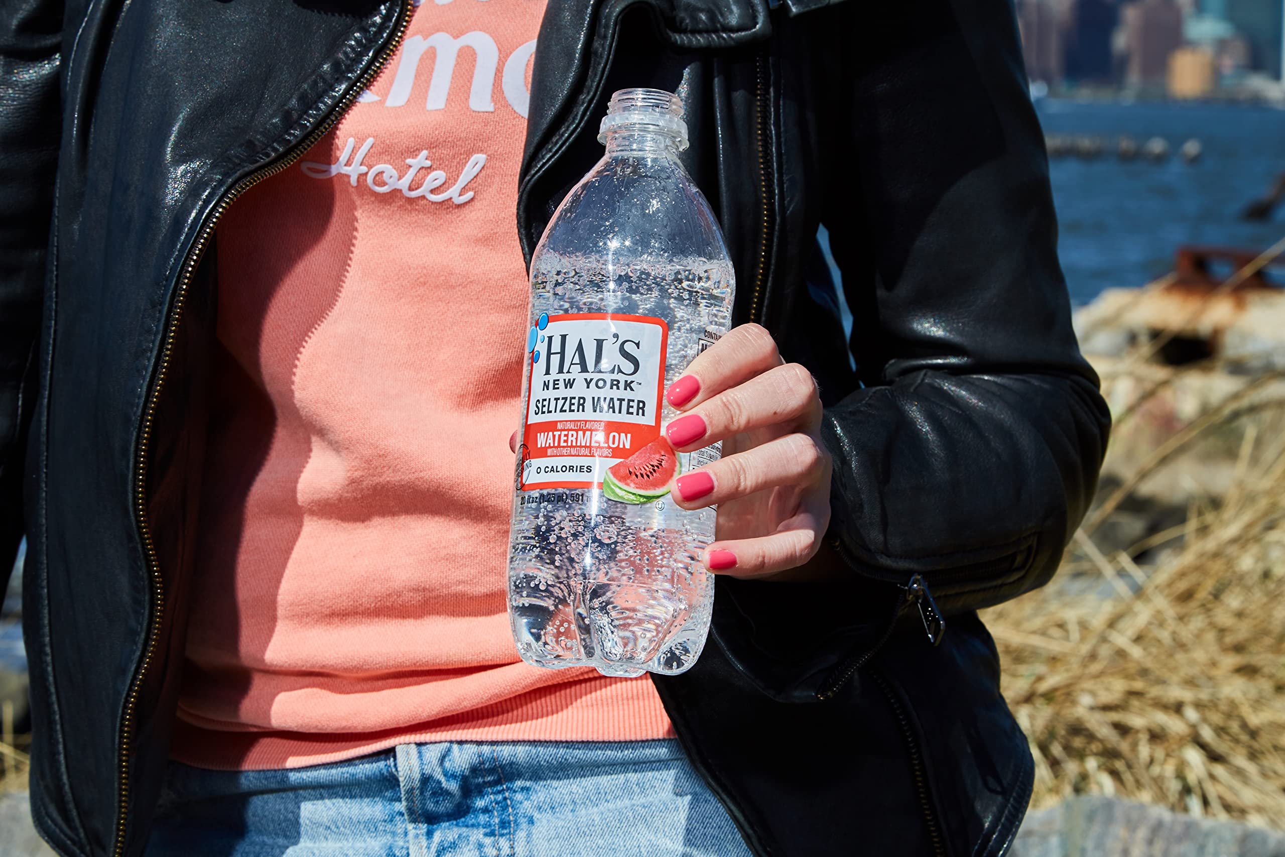 Hal's New York Seltzer Carbonated Watermelon Flavored Sparkling Water, Zero  Sugar, Zero Calorie, Zero Carbs, 20 Fl Oz (Pack of 12)
