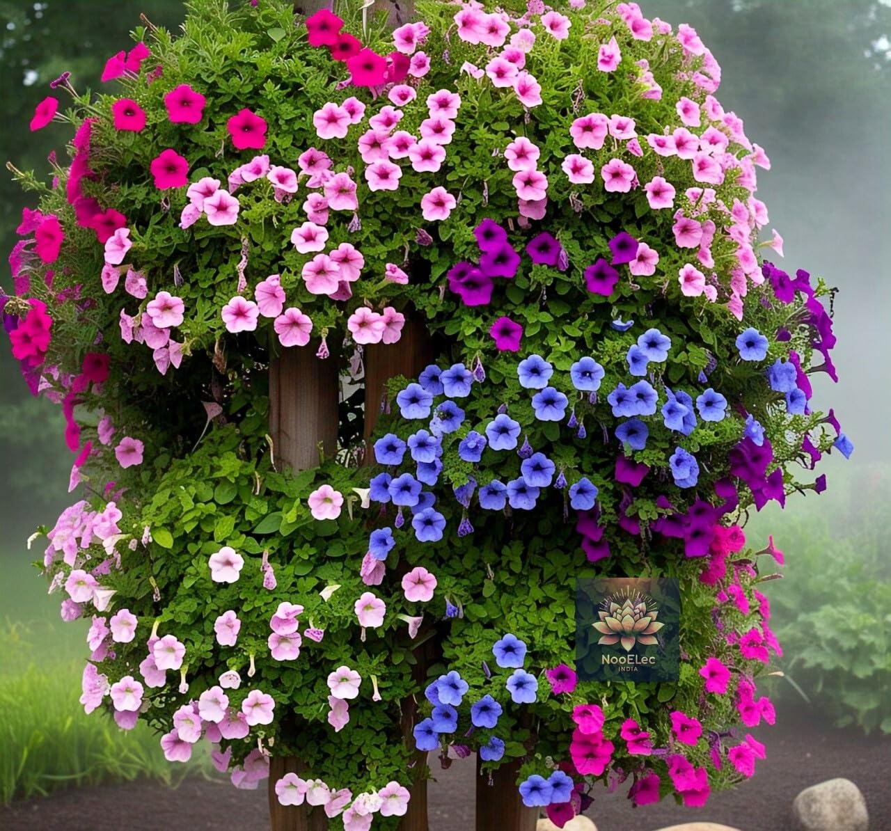 NooElec Seeds India Hybrid Hanging Petunia Flower Seeds - 300 Pcs, Mixed Colors, All-Year Blooms-image-22