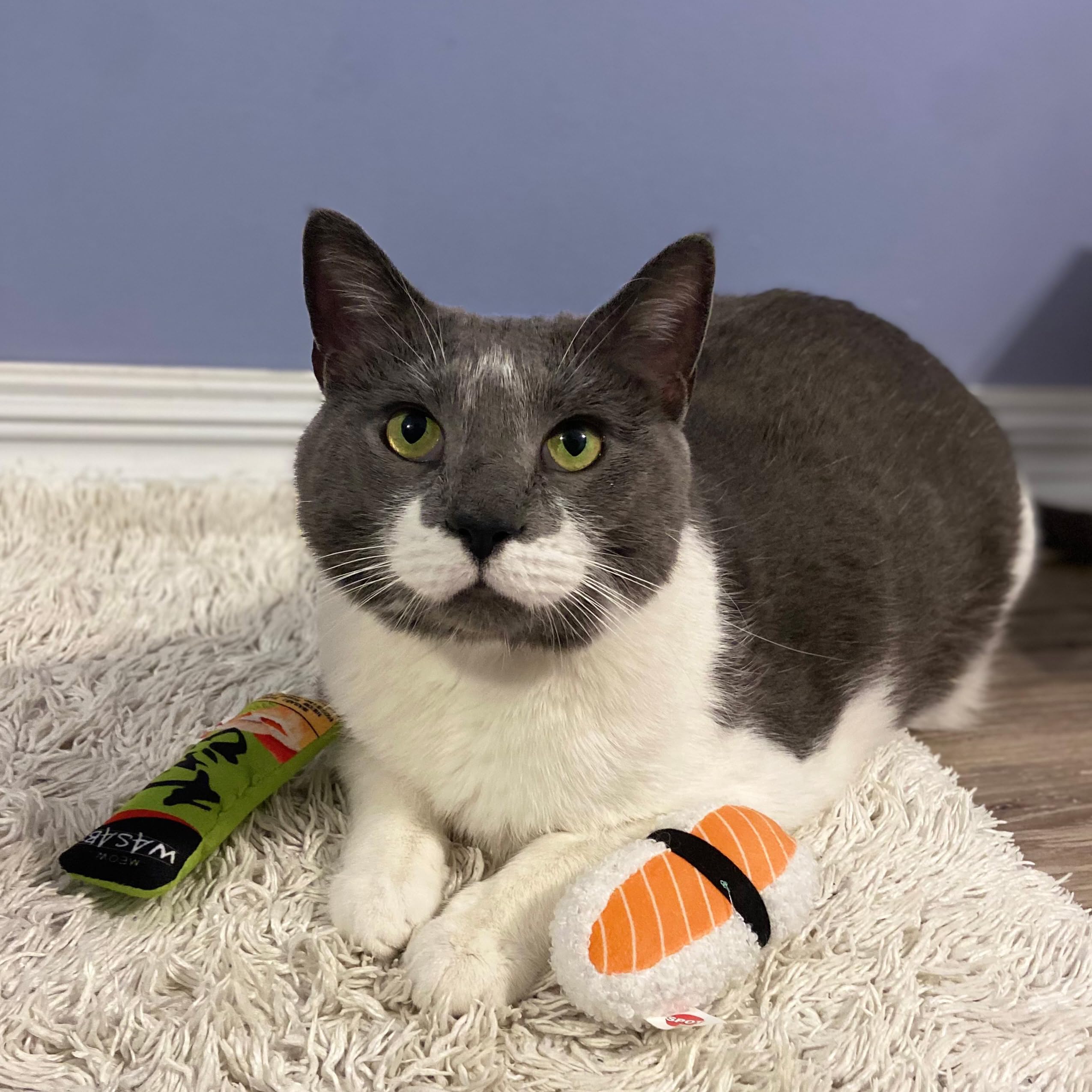 Brinquedos SPOT Para Gatos - Sushi Com Erva-de-Gato, 2 Peças Para Diversão Felina