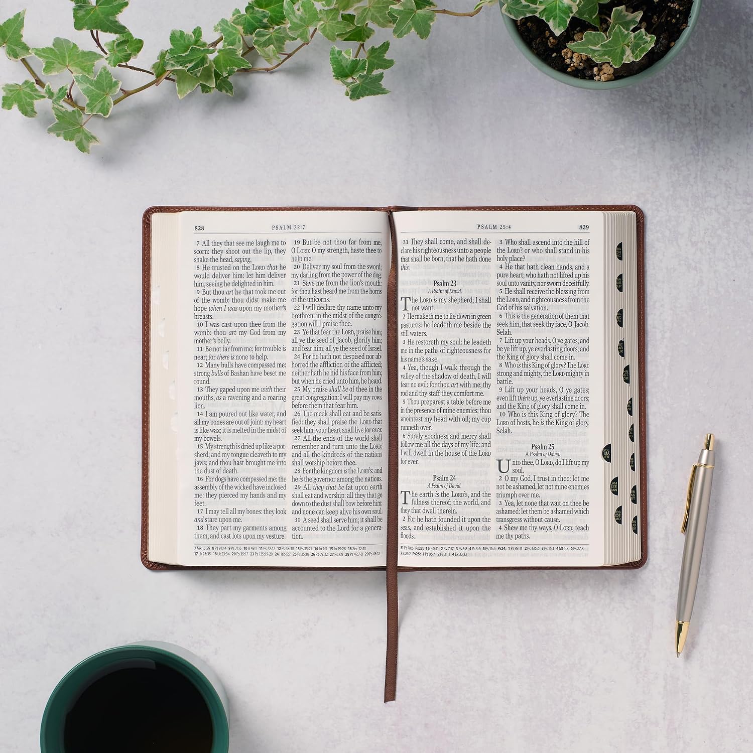 KJV Holy Bible, Giant Print Standard Size Faux Leather Red Letter Edition - Ribbon Marker, King James Version, Brown (KJV Standard GP Editions)