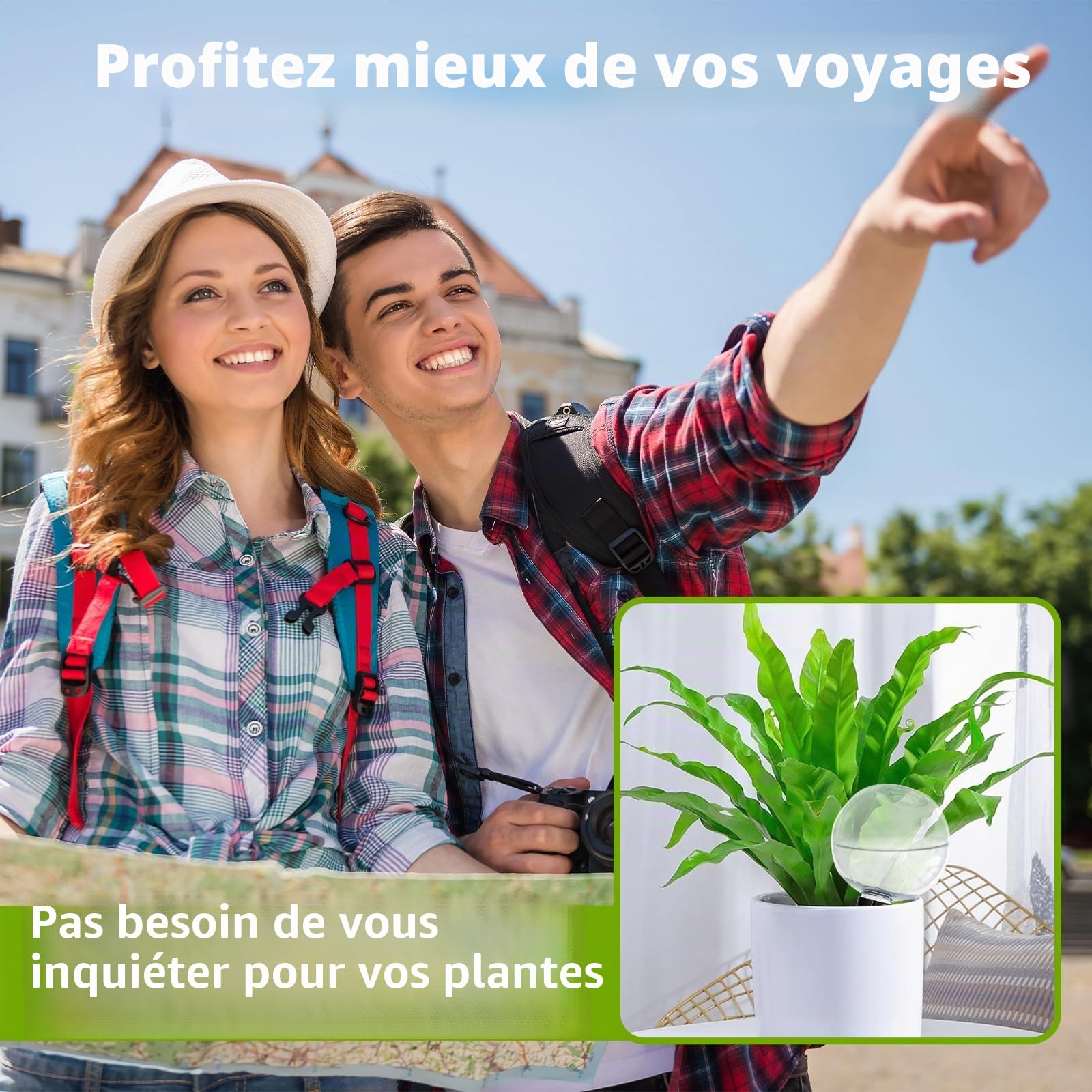 Lot de 4 Boule Arrosage Plante, Reserve Eau Plante, Pot Plante Reserve d Eau, pour Plantes, Arrosage des Chambres, Balcons et Plantes de Jardin, Arrosage Plante Vacances (Transparent, A)