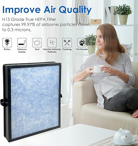 Miniatura 4 de Flintar Filtro de repuesto MK04, compatible con purificador de aire AROEVE MK04, MG04JH y DH-JH04, filtración de grado H13, paquete de 2