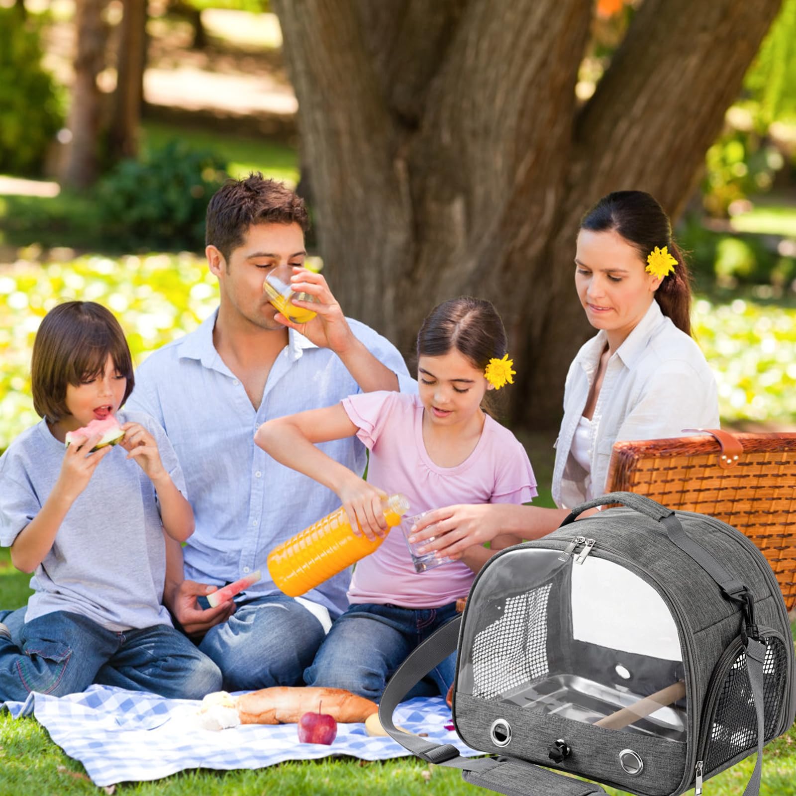 Borsa da viaggio per uccelli, per piccoli uccelli, pieghevole, per pappagalli, pappagalli, parrocchetti, piccoli animali, per viaggi, escursioni, campeggio (grigio)