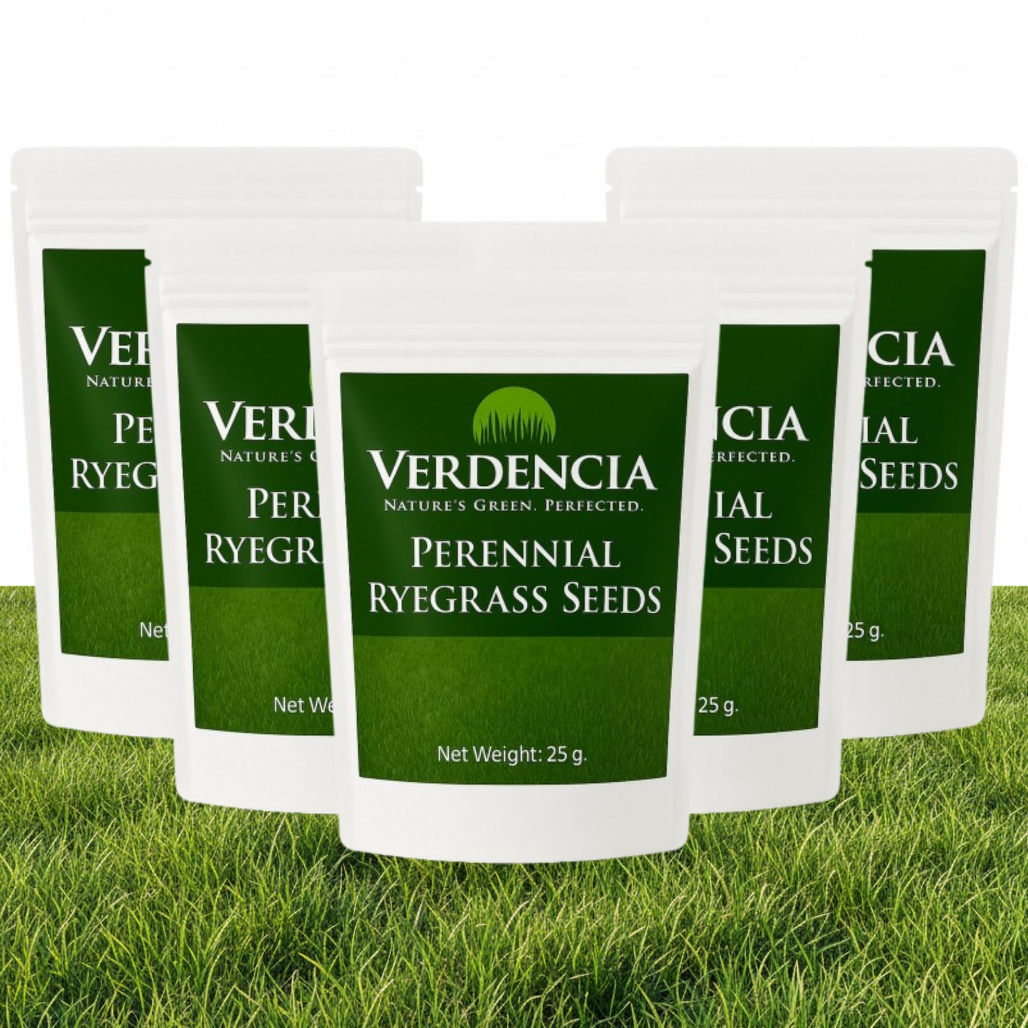 VERDENCIA Perennial Ryegrass Seeds for Lawn | Fast Germination, High Traffic Tolerance Grass Seed | Home Garden, Sports Lawn & Landscaping | Pack of 5 X 25g