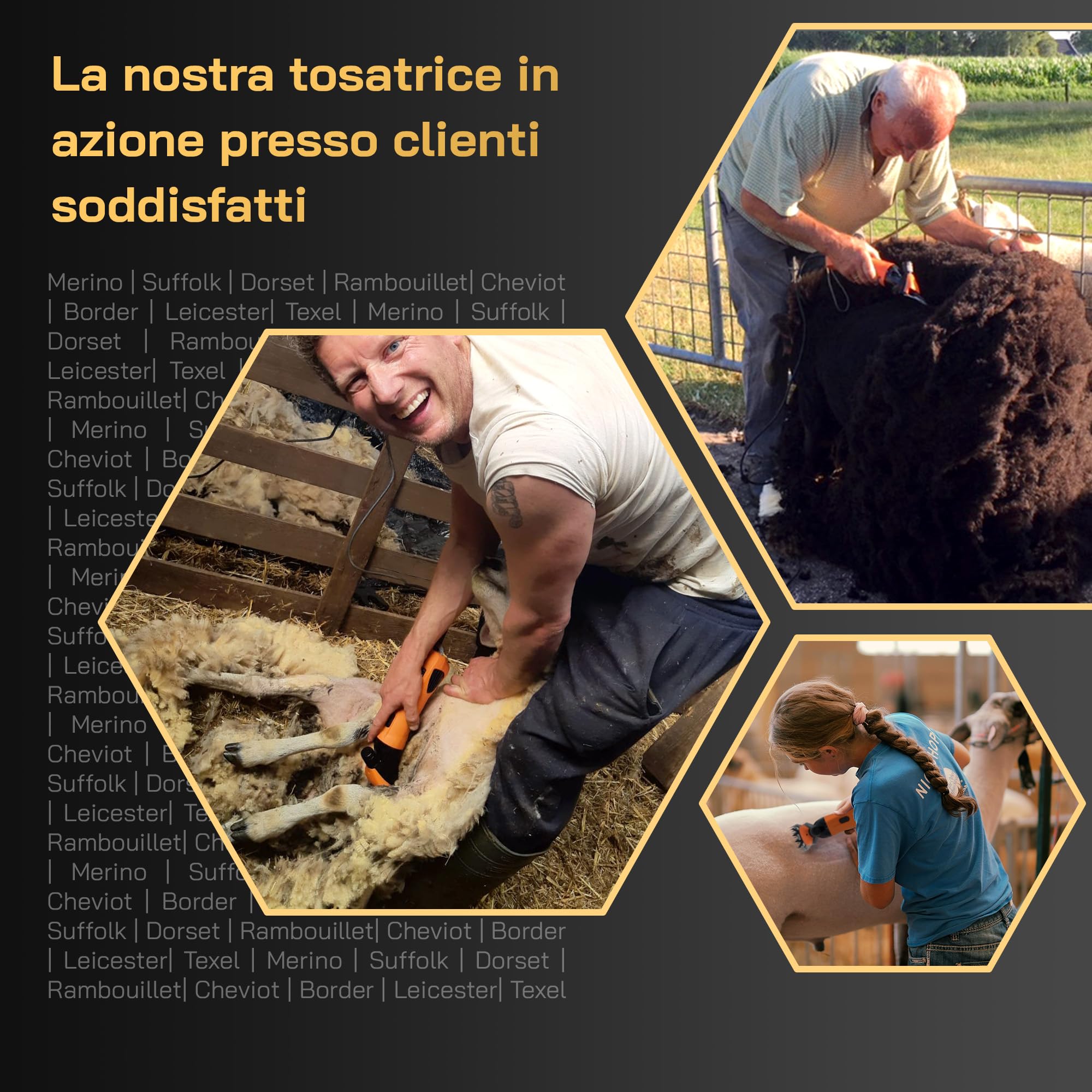 Tosatrice Elettrica per Pecore con Lame Intercambiabili Motore Potente