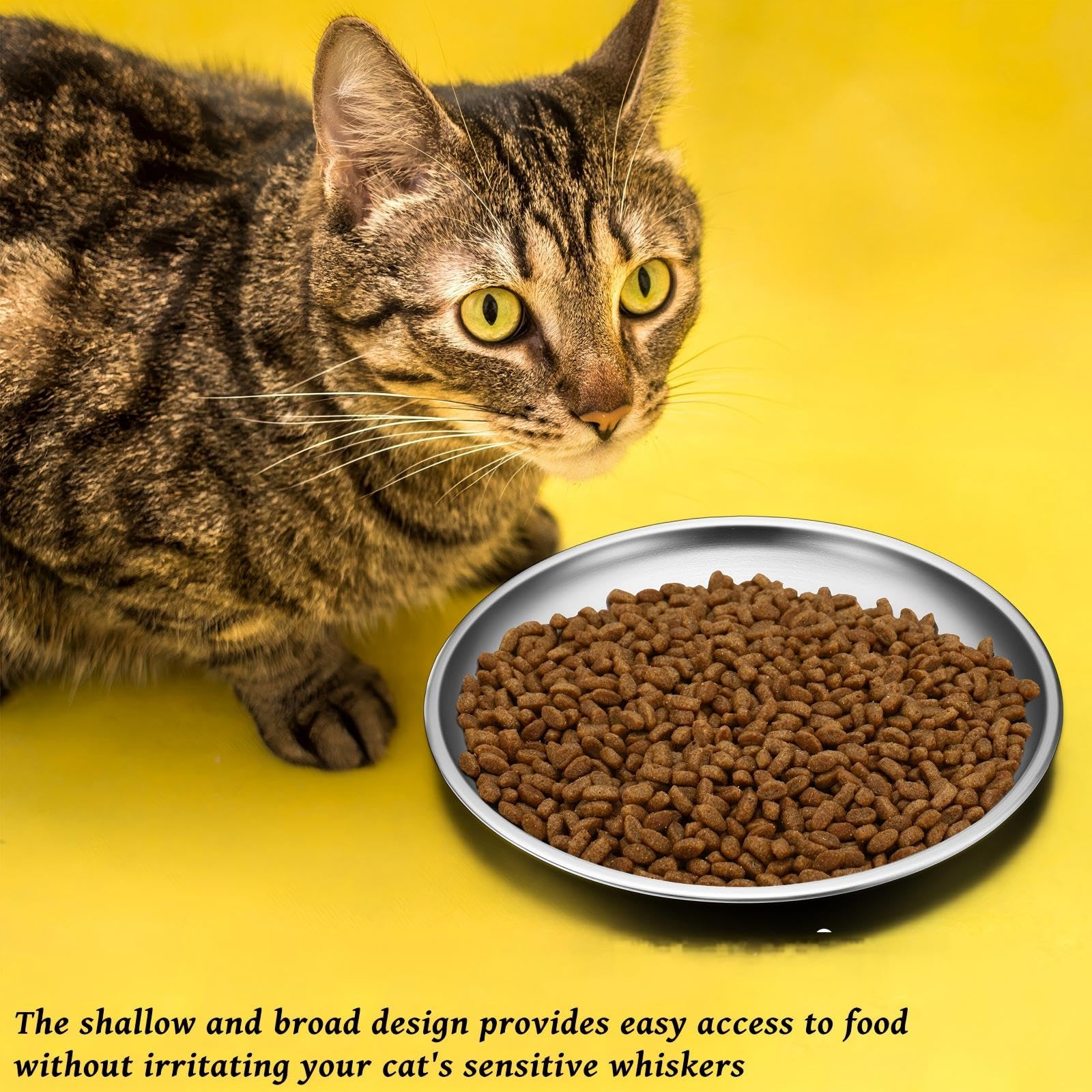 Domensi 12 ciotole per gatti in acciaio inox, poco profonde, 16 cm, ciotole piatte per animali domestici, piccoli piatti per gattini, furetti, randagi