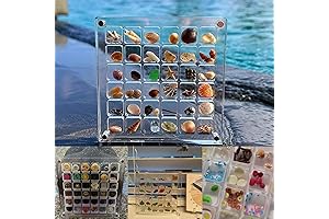 Seashell Storage and Display: A Treasure Trove for Your Coastal Delights