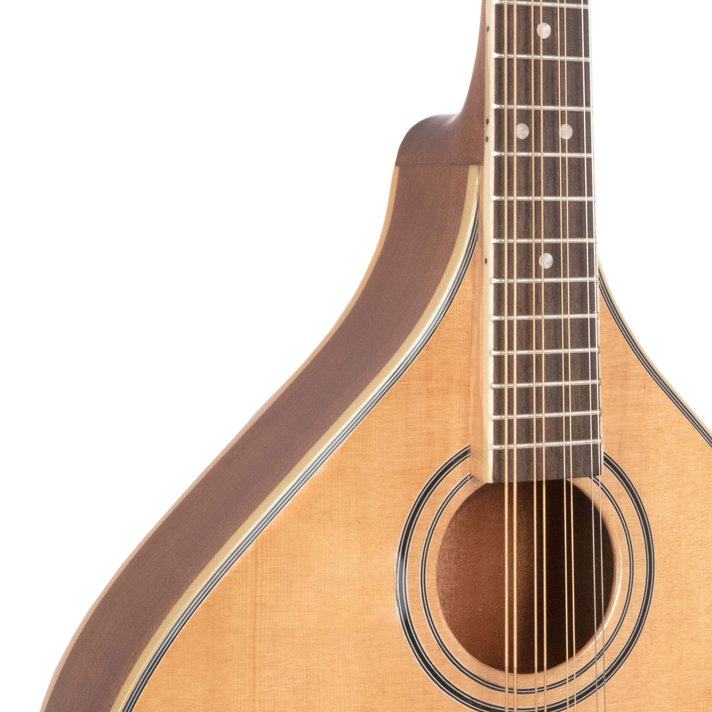 Amazon | Gold Tone OM-800+ Octave Mandolin (Mahogany) | マンドリン