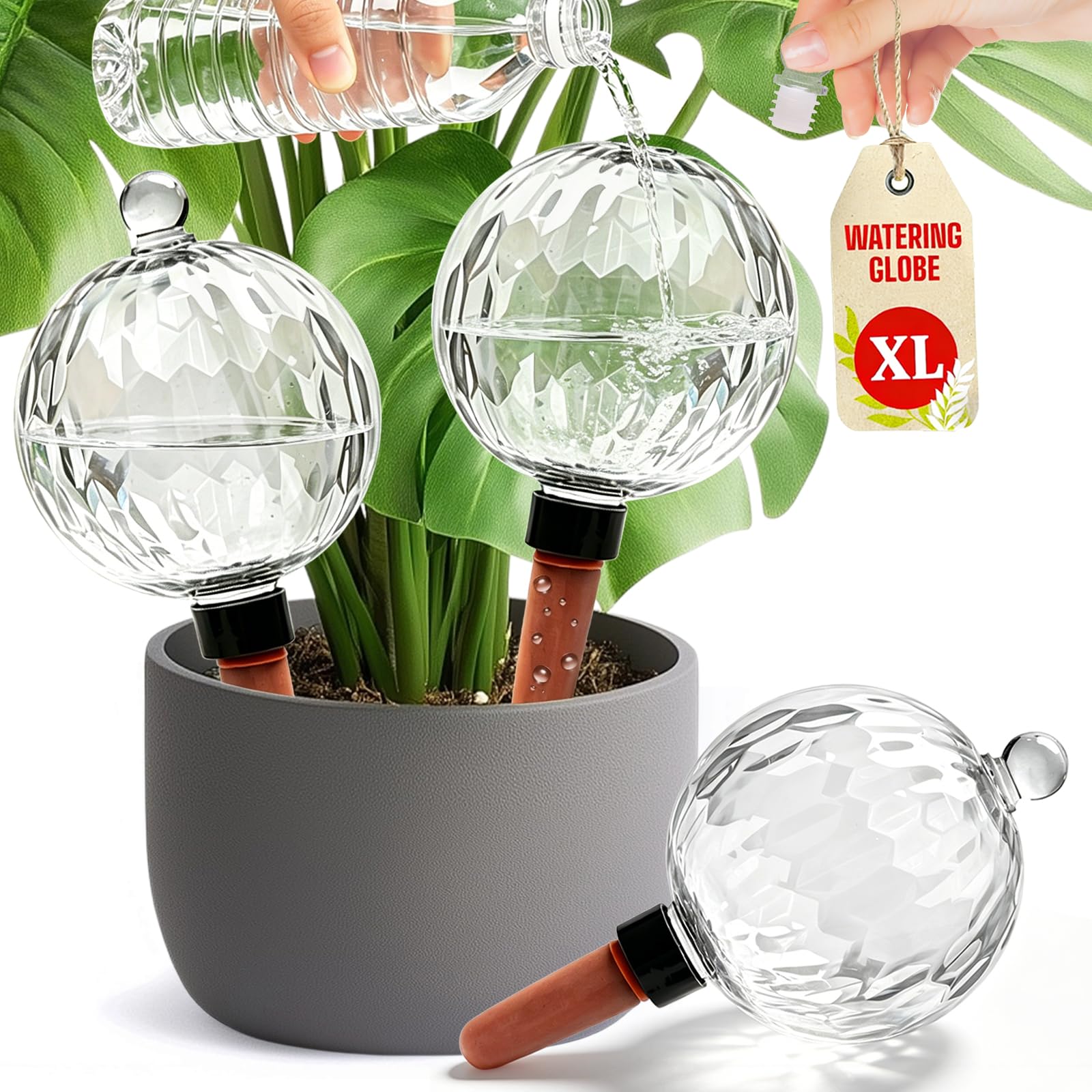26oz Extra Large Plant Watering Globes, Self Watering Globes Bulbs Orbs Balls Top Fill, Water Globes Bulbs for Indoor Outdoor Plants Planters, Automatic Water Globe Bulb to Water Plants While Away