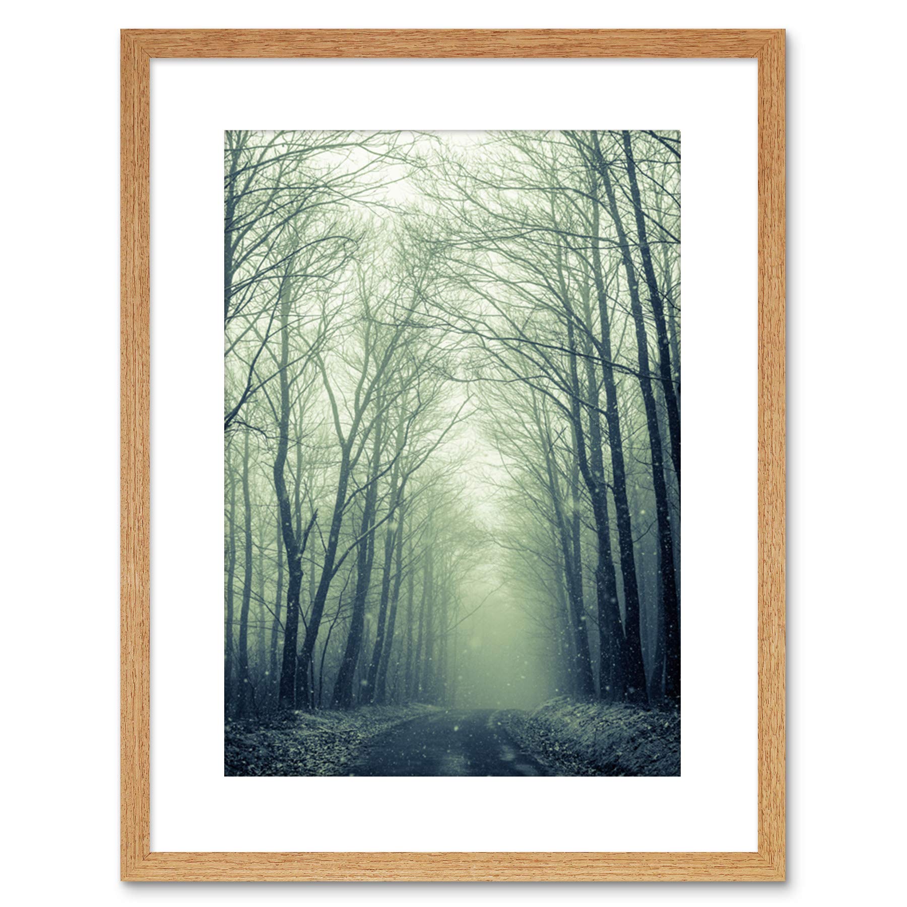 Wee Blue Coo NATURE PHOTO FOREST TREES WINTER TRACK FRAMED ART PRINT POSTER F97X11977