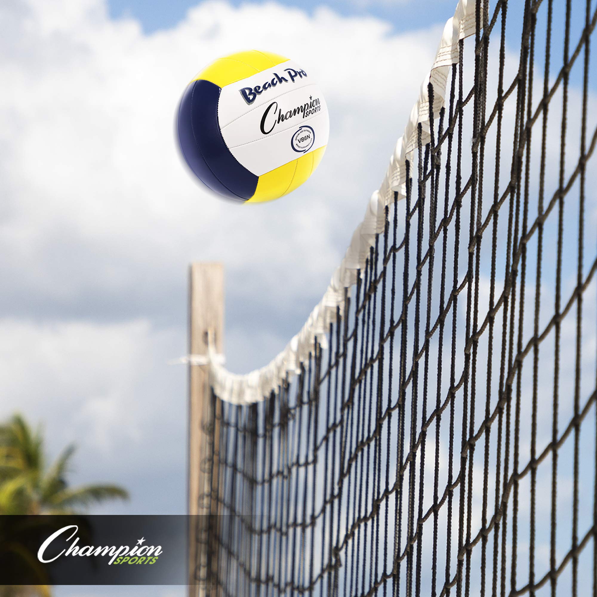 Campeón Deportes Playa Play Voleibol
