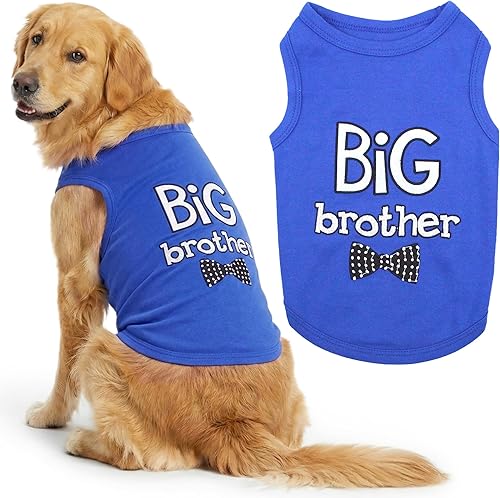 Miniatura 66 de Parisian Pet - Camiseta para perros y gatos, con texto en inglés Big Sister, 2XS