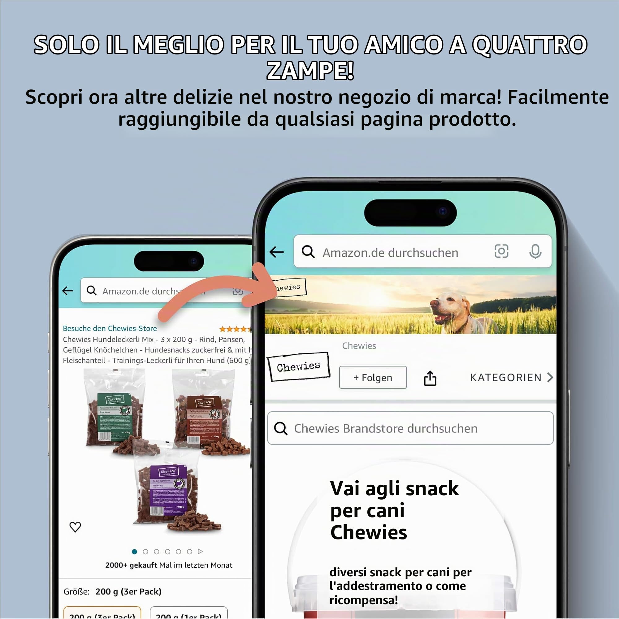Chewies Proteine per cani salmone, senza cereali, morbide e senza zucchero, in un secchio richiudibile, prodotto in Germania (8 x 300 g)