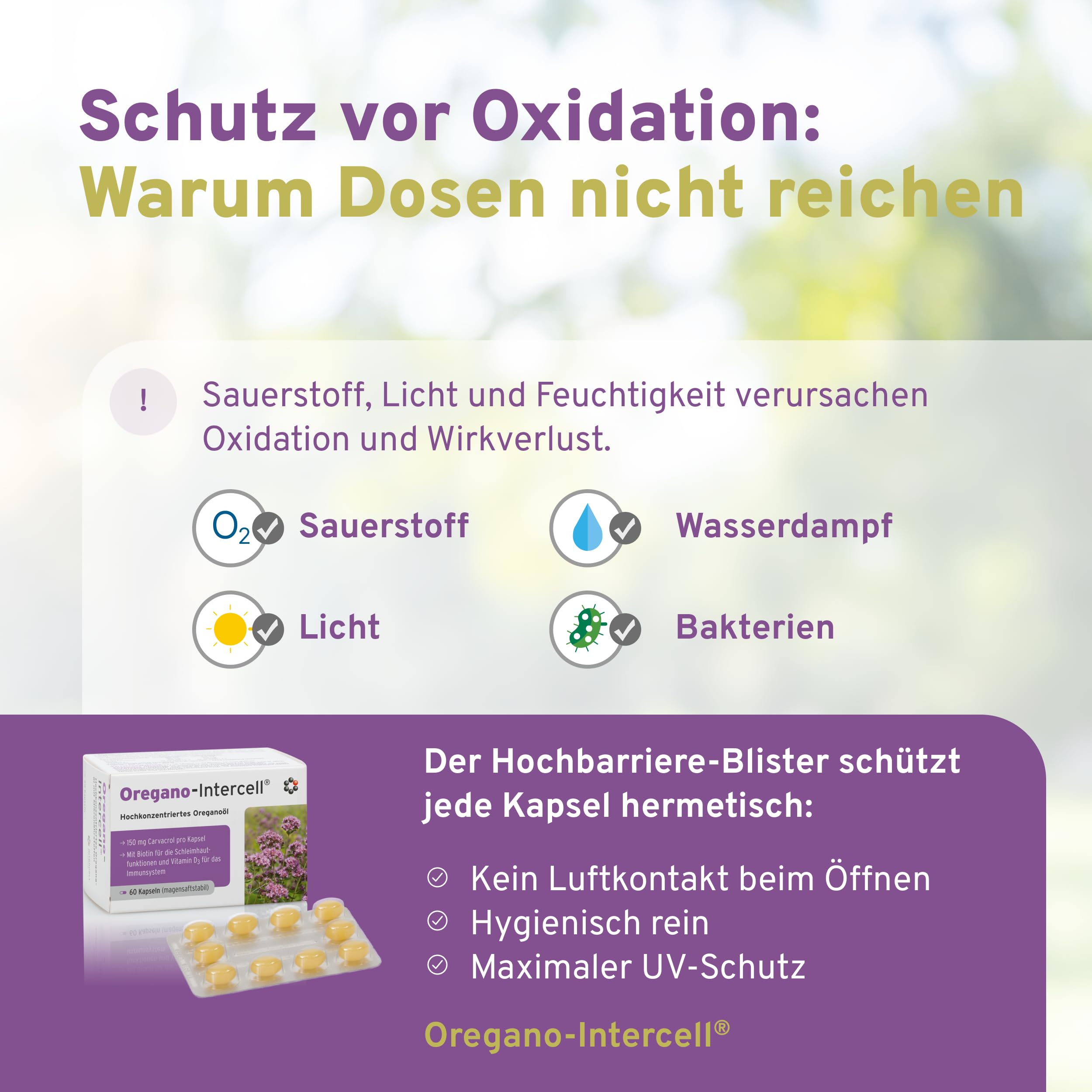 Oregano Öl hochkonzentriert und magensaftstabil (60 Kapseln) - 150mg Carvacrol +Vitamin D3 + Biotin - ohne Lösungsmittel für optimale Verträglichkeit - gultenfrei & lactosefrei - Intercell Pharma