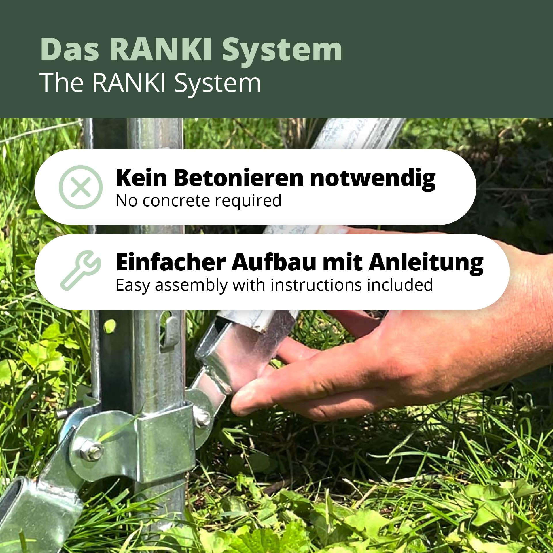 RANKI ™ - Rankhilfe für Kletterpflanzen - Spalier auf Plantagenstandard für Wein, Kiwi, Kiwibeeren, Rosen, Clematis, Spalierobst (1-Feld (2,5 Meter))
