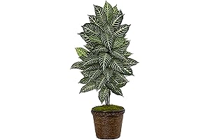 Gorgeous 4ft Zebra Artificial Plant in Coiled Rope Planter