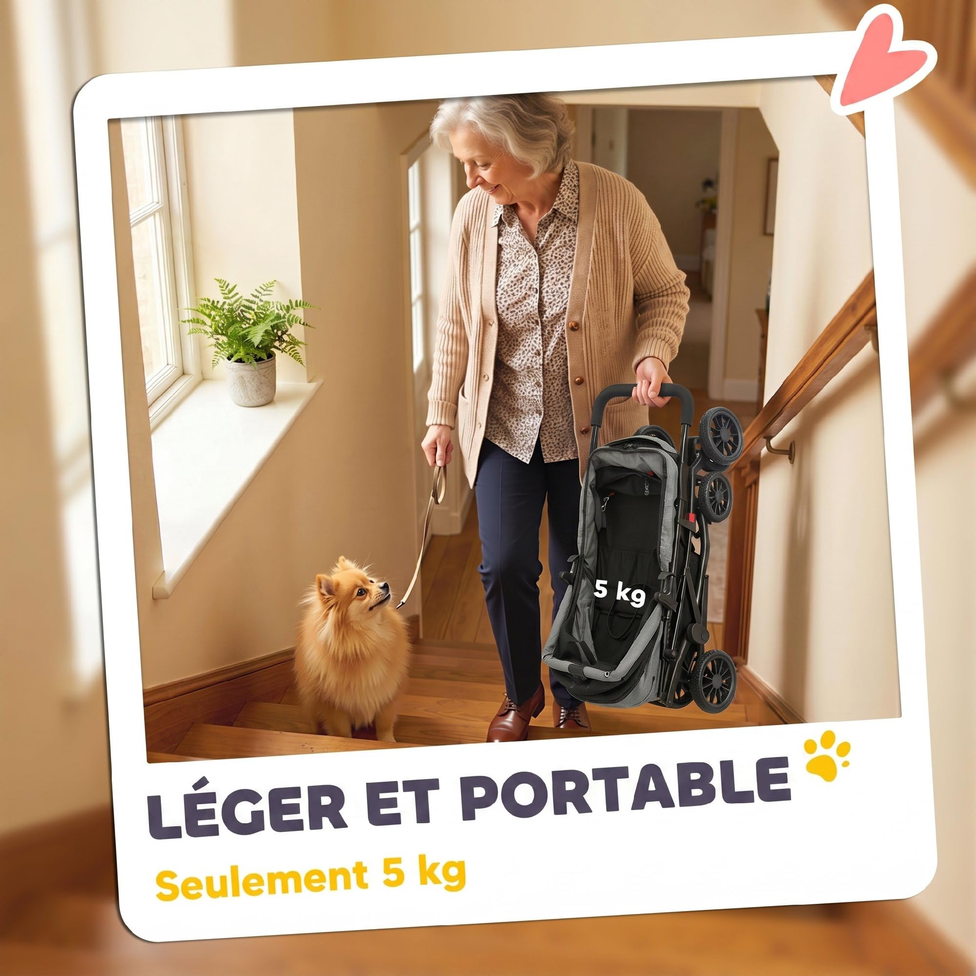 PawHut Poussette pour Chien avec 4 Roues EVA, Chariot Pliable avec Fenêtres en Maille, Frein, Laisses de Sécurité, Coussin Amovible, Plateau de Rangement, Porte-Gobelet, pour Petits Chiens, Gris
