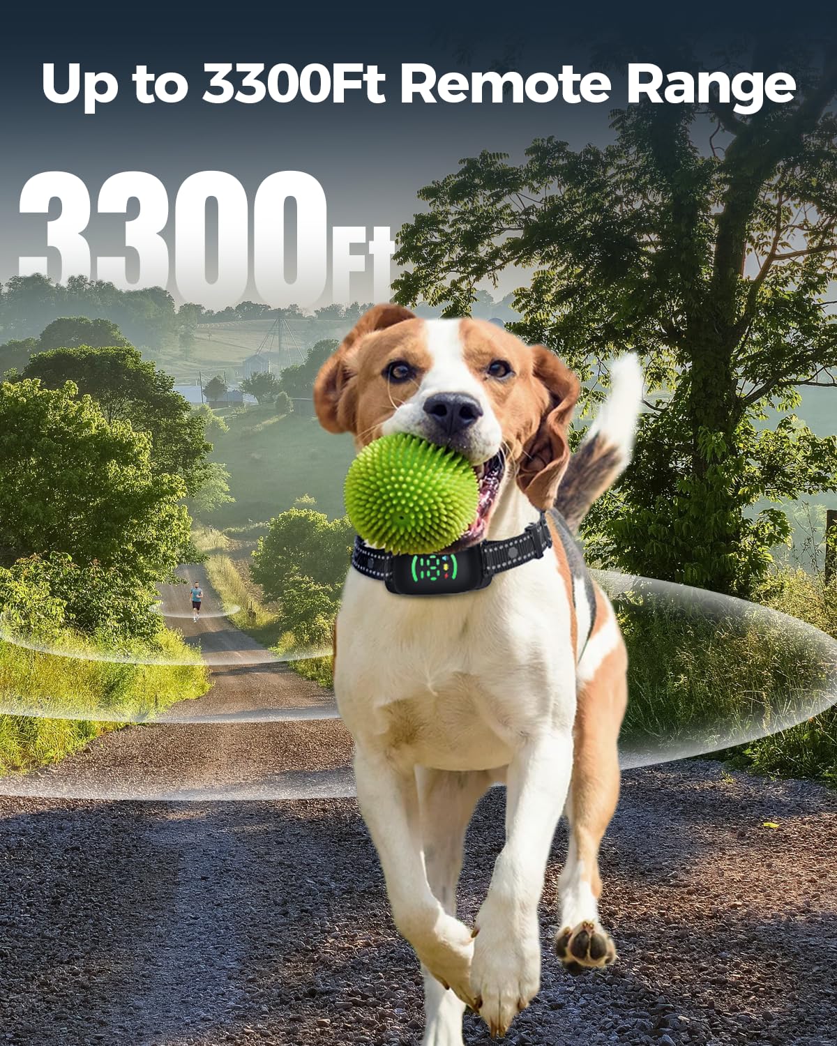 Electric Shock The Best Shock Collar For Large Dogs Dog Trainer