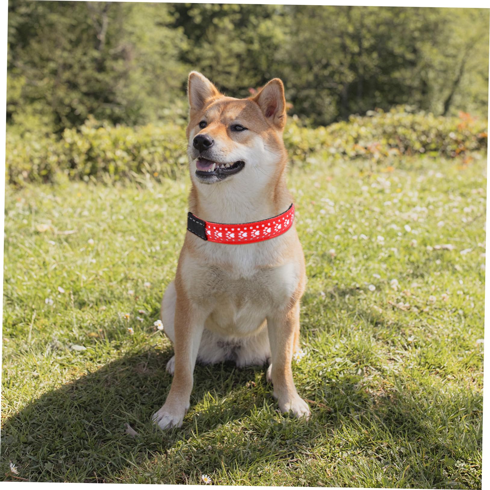 FRCOLOR 2 Piezas Collar Luminoso para Perro Collares De Perro para Cachorros Disfraz De Collar De Mascota Brillante Suministros De Mascotas Cuero PU Rojo Flash