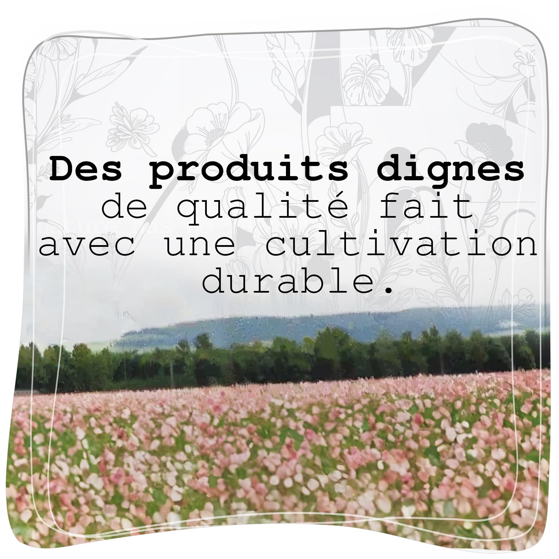 Capsules de graines de Pavot séchées sans Manche, Accessoires de Bricolage & décoration (Petit 200 g)