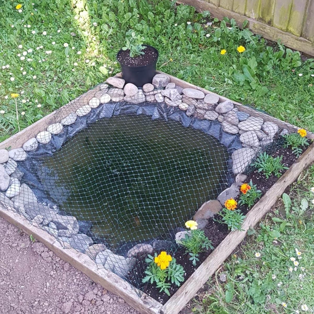 Telo Per Laghetto In HDPE 10x10m - 0.2mm Spessore, Resistente UV E Strappi | Per Stagni E Fontane - Foto 3