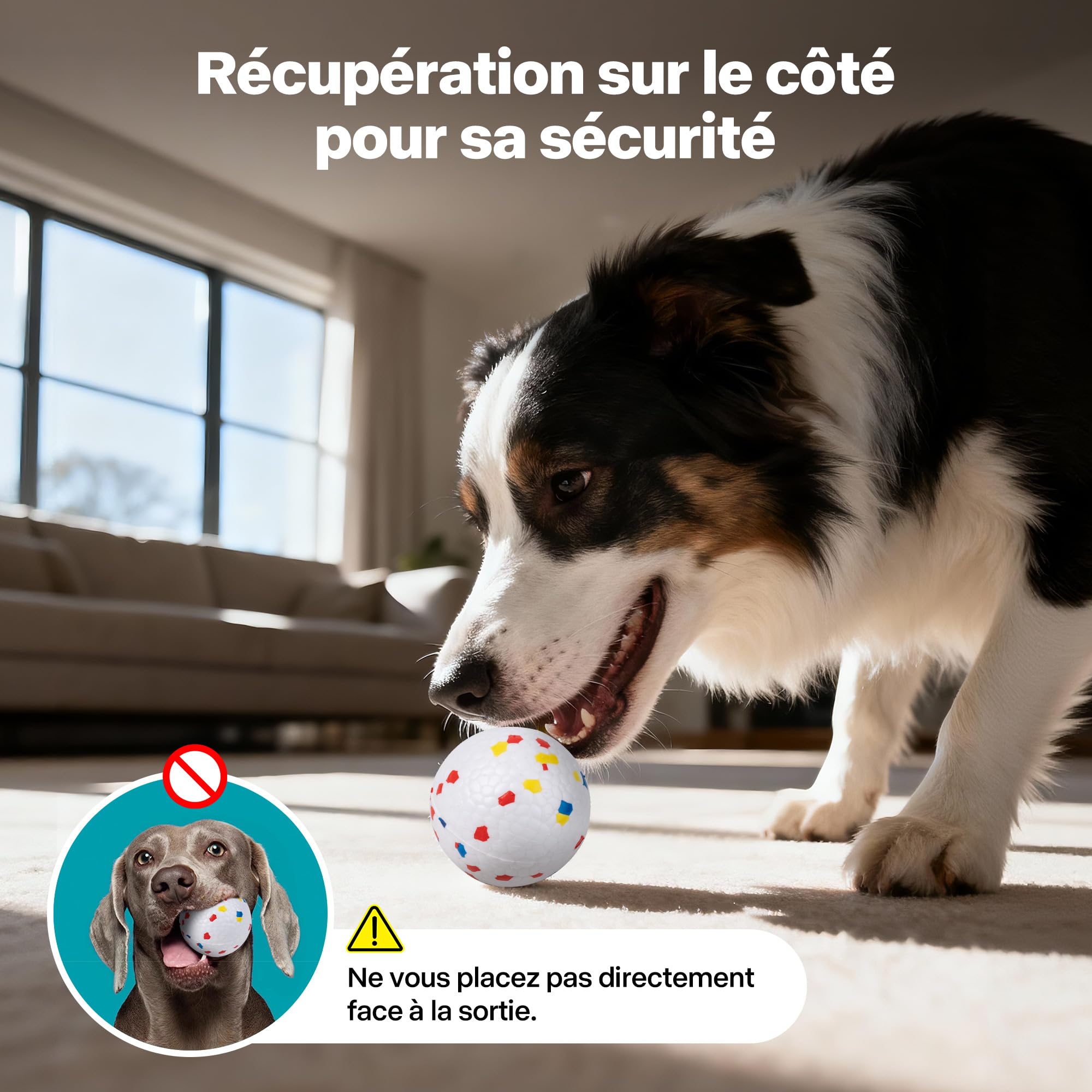 Pet Prime Lanceur de balles Automatique pour Grands Chiens – 6 balles E-TPU 6,35 cm + sifflet – Portée réglable de 3 à 20 m (3 Niveaux de tir) – Batterie Rechargeable – Jouet interactif