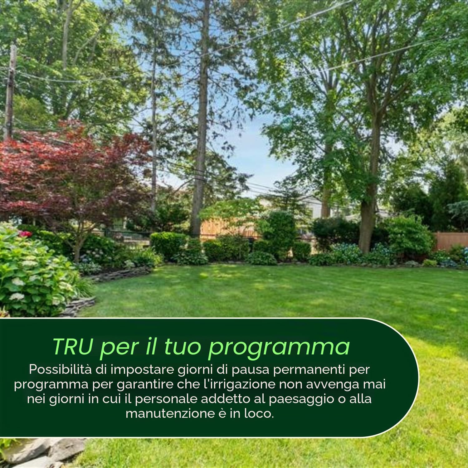 Rain Bird TRU6I Regolatore/Timer per Irrigazione Interna Basato su Programma, Modulo WiFi Ready, 6 Zone/Stazione