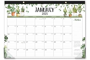 2025 17" X 12" Desk Calendar