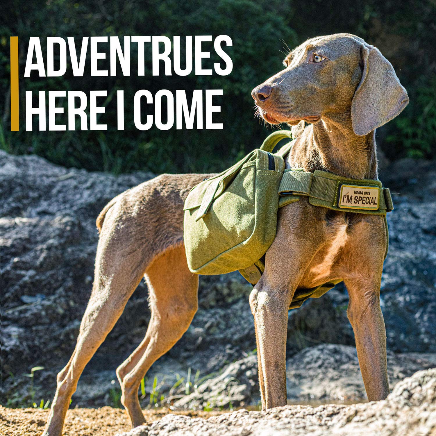 OneTigris Hoppy Camper 2,0 - Zaino per cani da campeggio, escursionismo, strappo, taglia M/L (L, verde ranger)