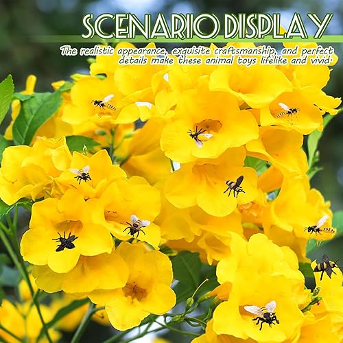 Miniatura 4 de Juego de 20 figuras de abeja de miel realistas, varios modelos de abejas, abejas falsas, colección educativa temprana de criaturas de jardín de
