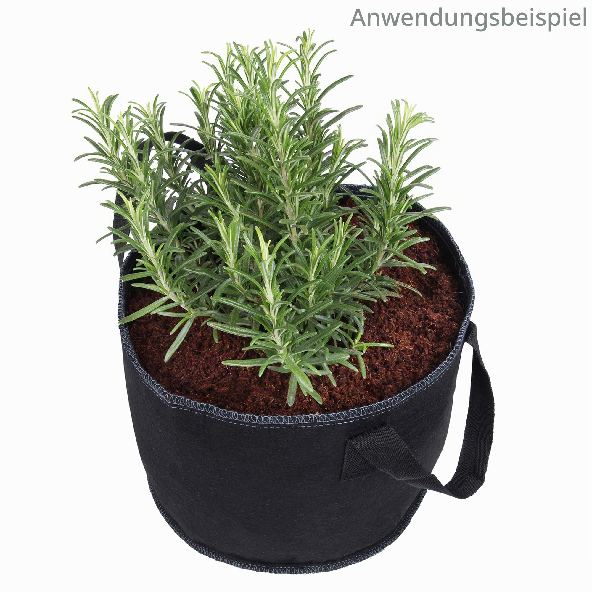 yourGEAR feinkörnige Kokoserde 108 L - 12x650g gepresste Blumenerde nachhaltige Aussaaterde aus Kokosfasern 100% Bio ungedüngt torffrei