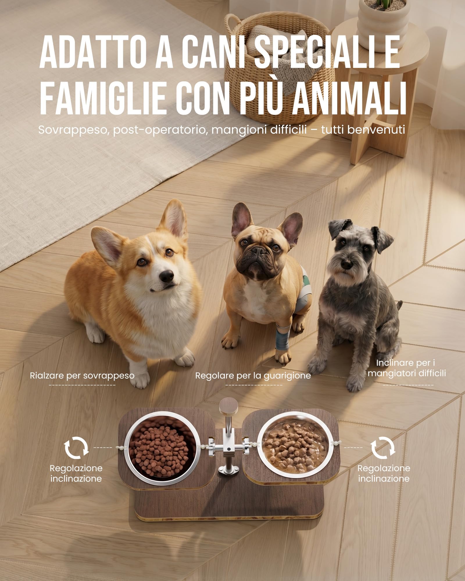 kittyspout Ciotole rialzate per cani, regolabili in altezza e inclinazione | Struttura FSC classe E0, 2 ciotole in acciaio inox lavabili in lavastoviglie e base antiscivolo