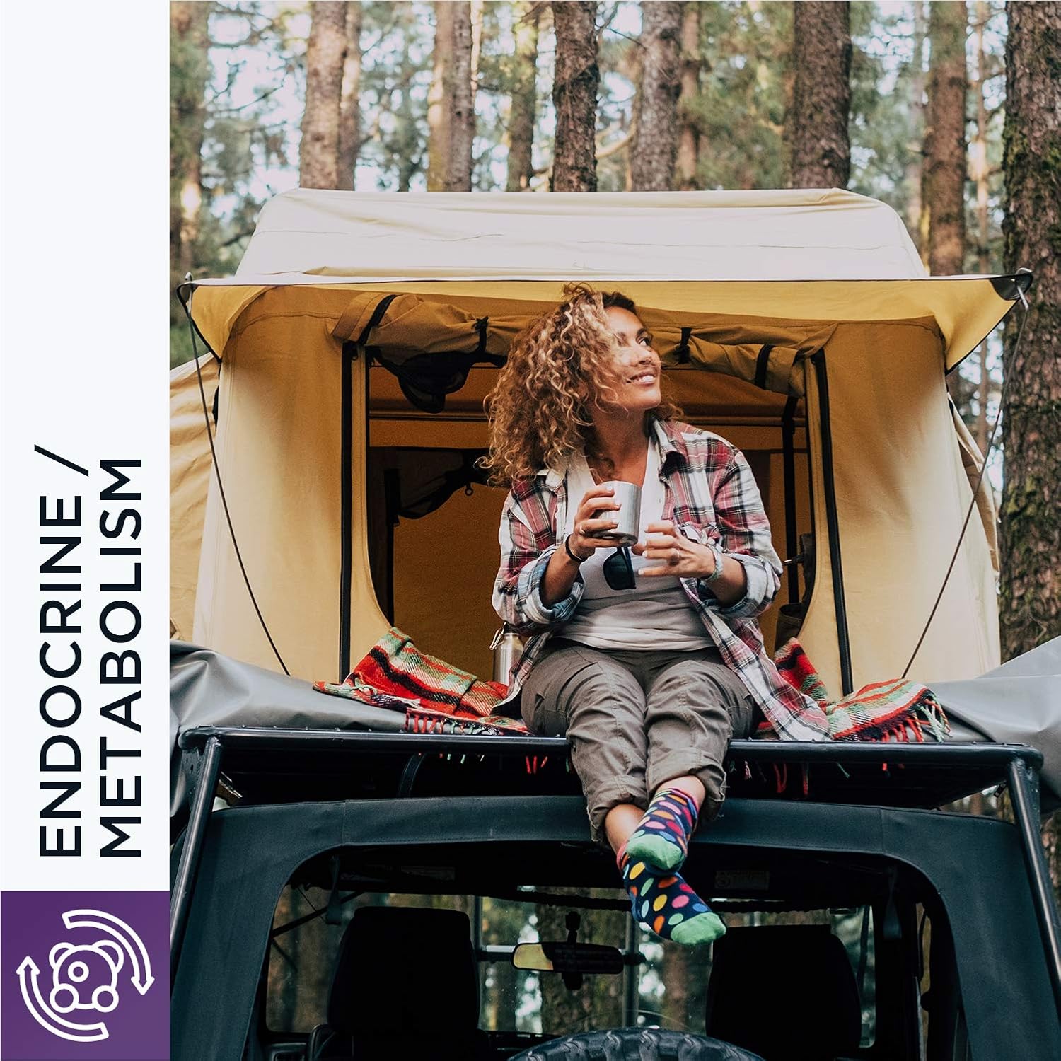 Designs for Health Adrenotone - Adrenal Support Supplement with Rhodiola Rosea, Ashwagandha, Vitamins B6, B2 + B5 - Designed to Support Adrenals + Healthy Cortisol Levels (180 Capsules) : Health & Household