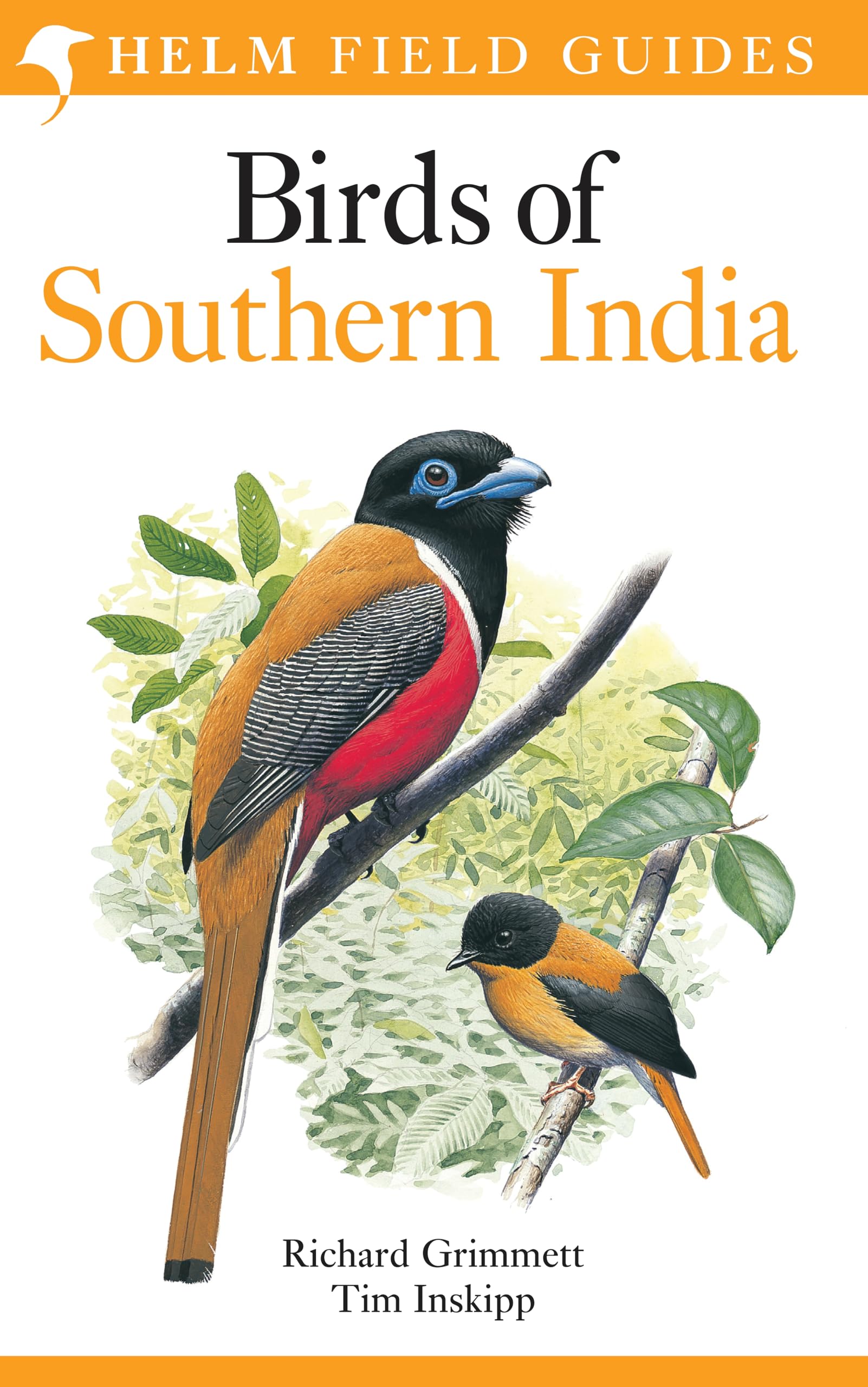 Birds of Southern India (Helm Field Guides)