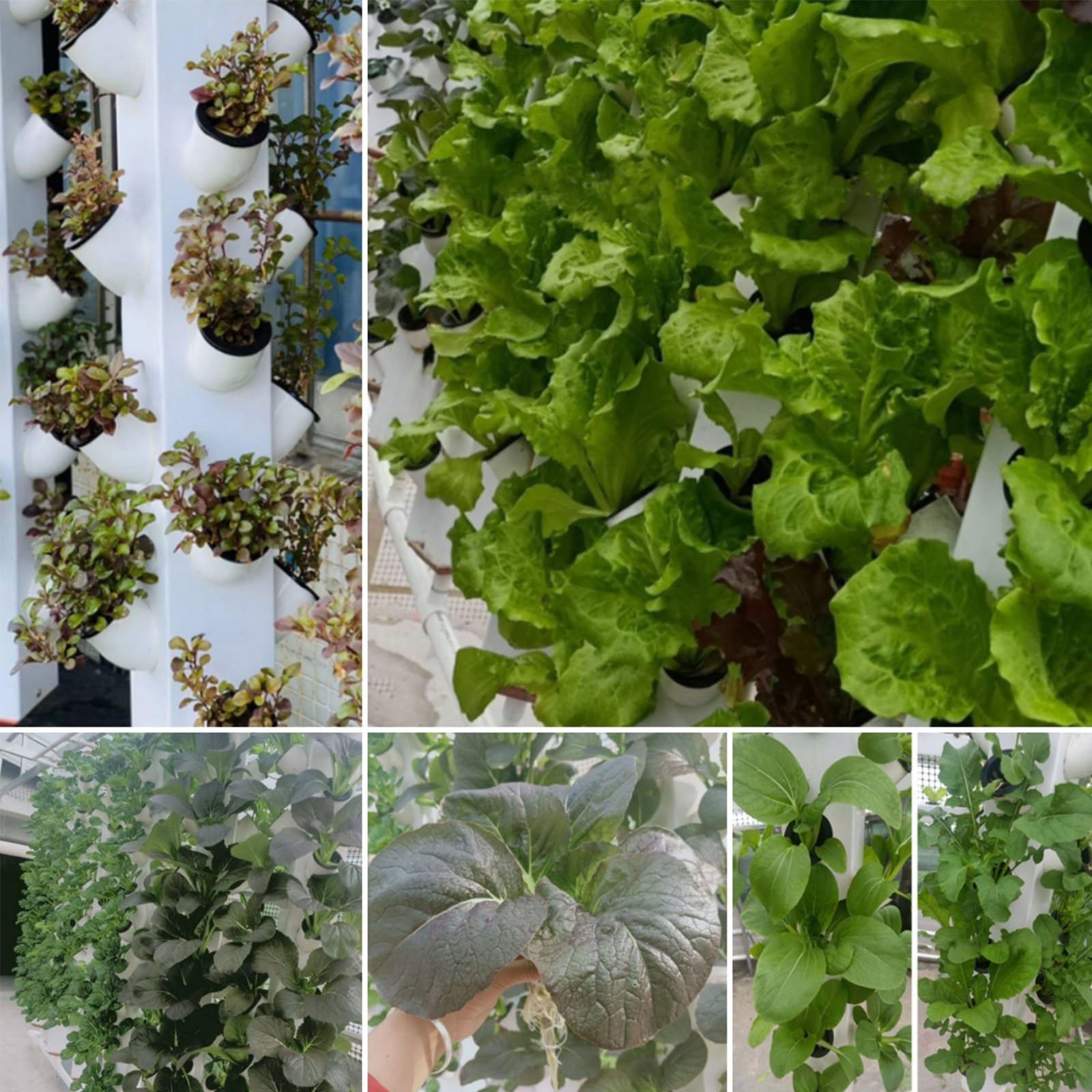 Kit de cultivo hidropónico, sistema de cultivo hidropónico vertical en torre con ruedas, sistema de cultivo hidropónico en torre para jardín interior y exterior, para hierbas, lechuga(1 column)