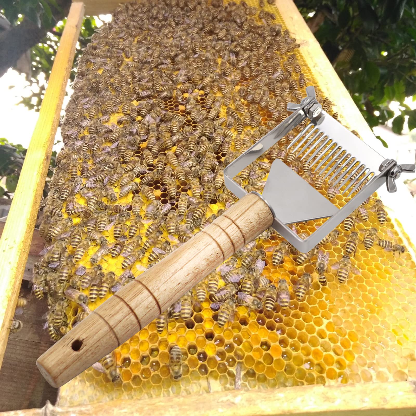 M.Z.A Kit de herramientas de apicultor de 12 piezas, juego de herramientas de colmena de abejas para ahumar abejas, kit de inicio de apicultura para apicultores profesionales y principiantes
