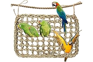 Seagrass Mats Foraging Activity Play Grass Mats for Seagrass Mats