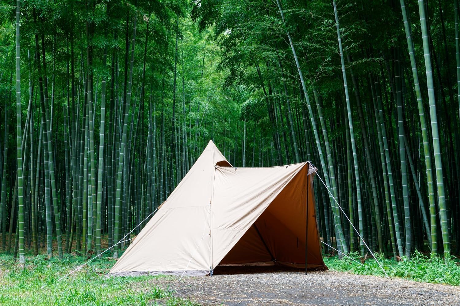 テンマクデザイン サーカスTC DX MID+ 2-4人 ワンポールテント