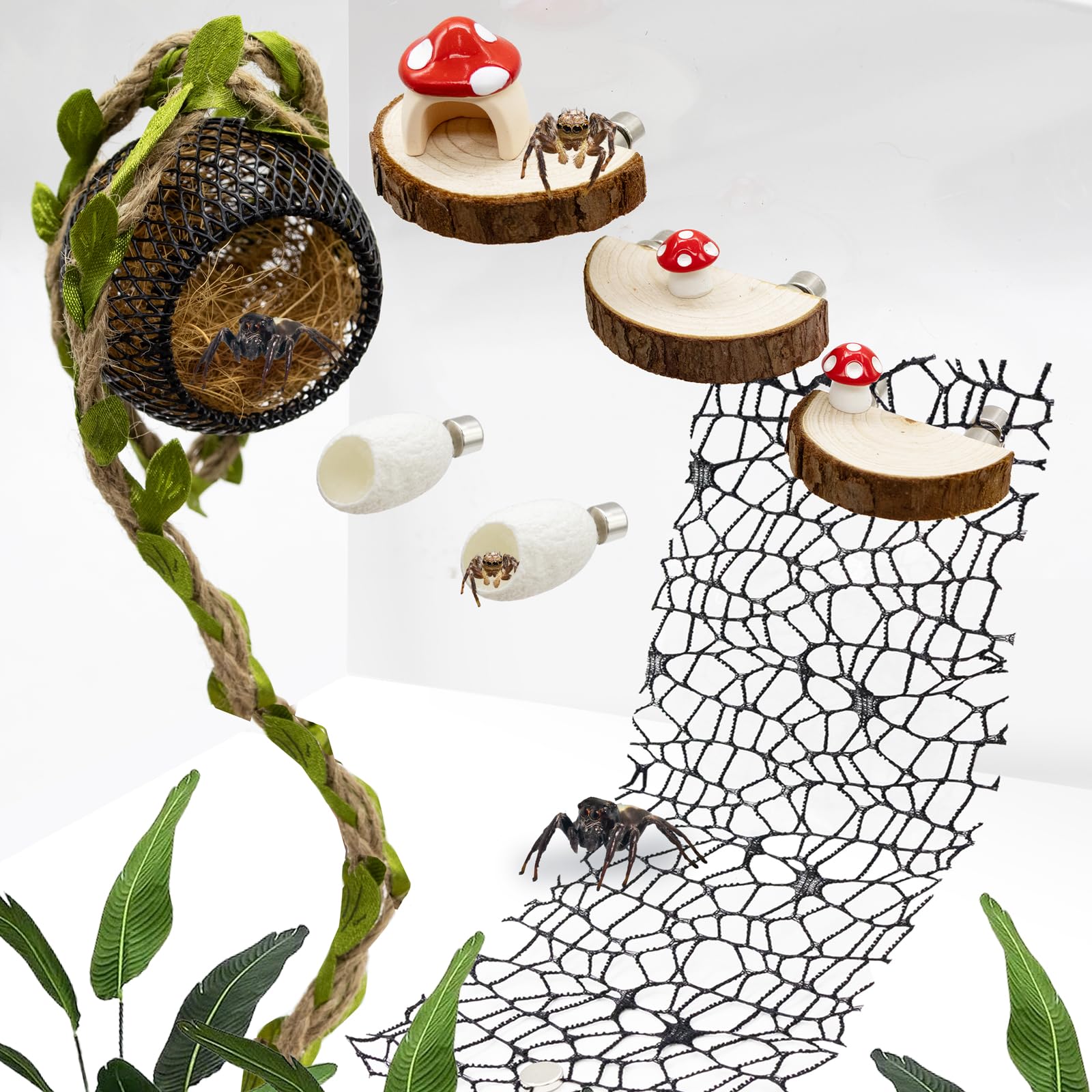 Jumping Spider Habitat Accessories Enclosure Habitat Accessories Jumping Spider Web Climbing and Feeding Platforms with Magnets for Small Insects