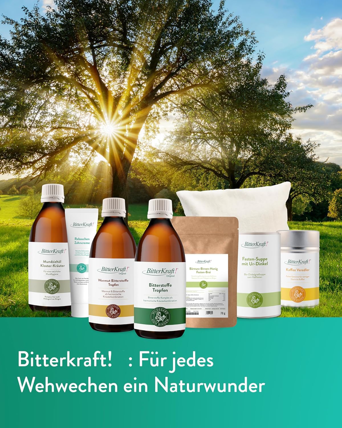 BitterKraft! Lot de 6 dentifrices de rebaschen - 75 ml - Selon Hildegard von Bingen - Soin basique aux herbes avec cendre de vigne et menthe frisée - Soin dentaire - 100 % naturel - Fabriqué en