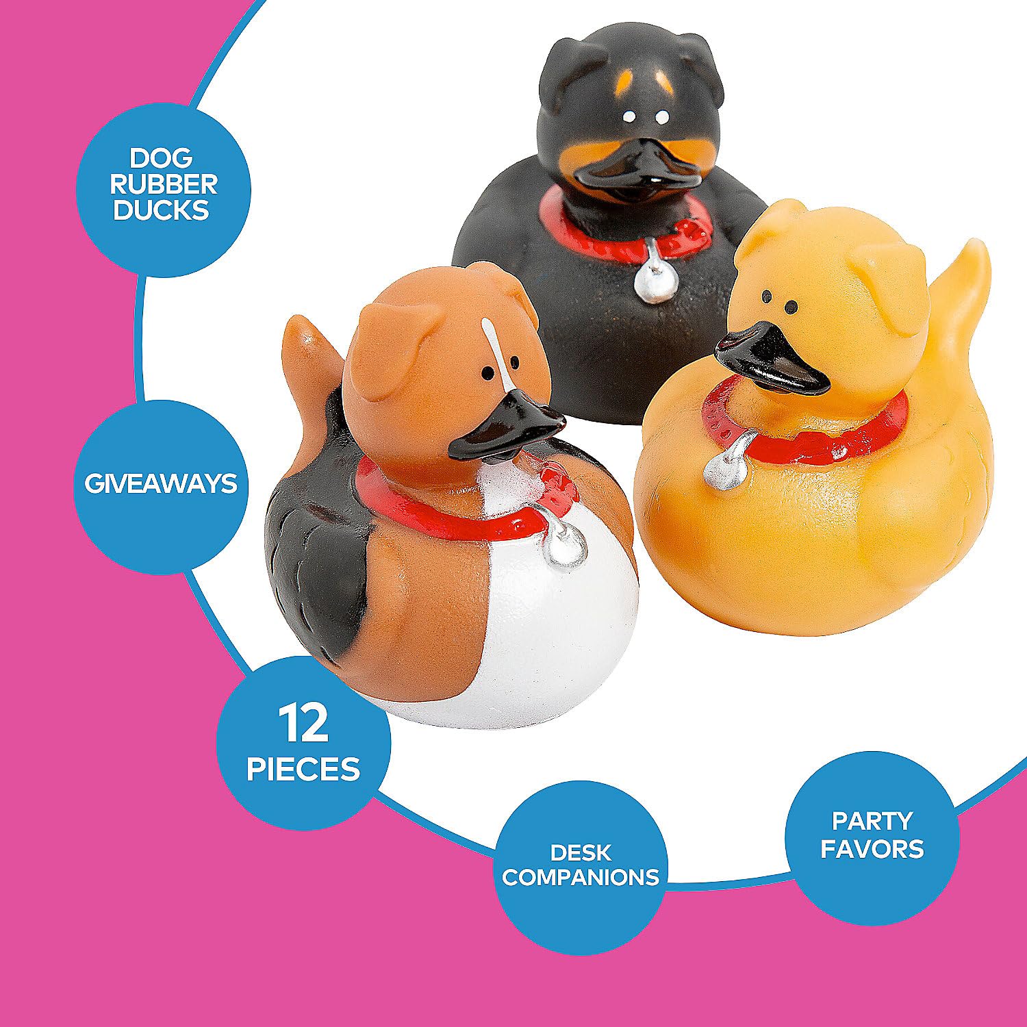 One Dozen (12) Dog Rubber Duckys : Amazon.ca: Toys & Games