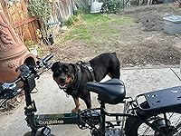 Review Image by Angel Angel