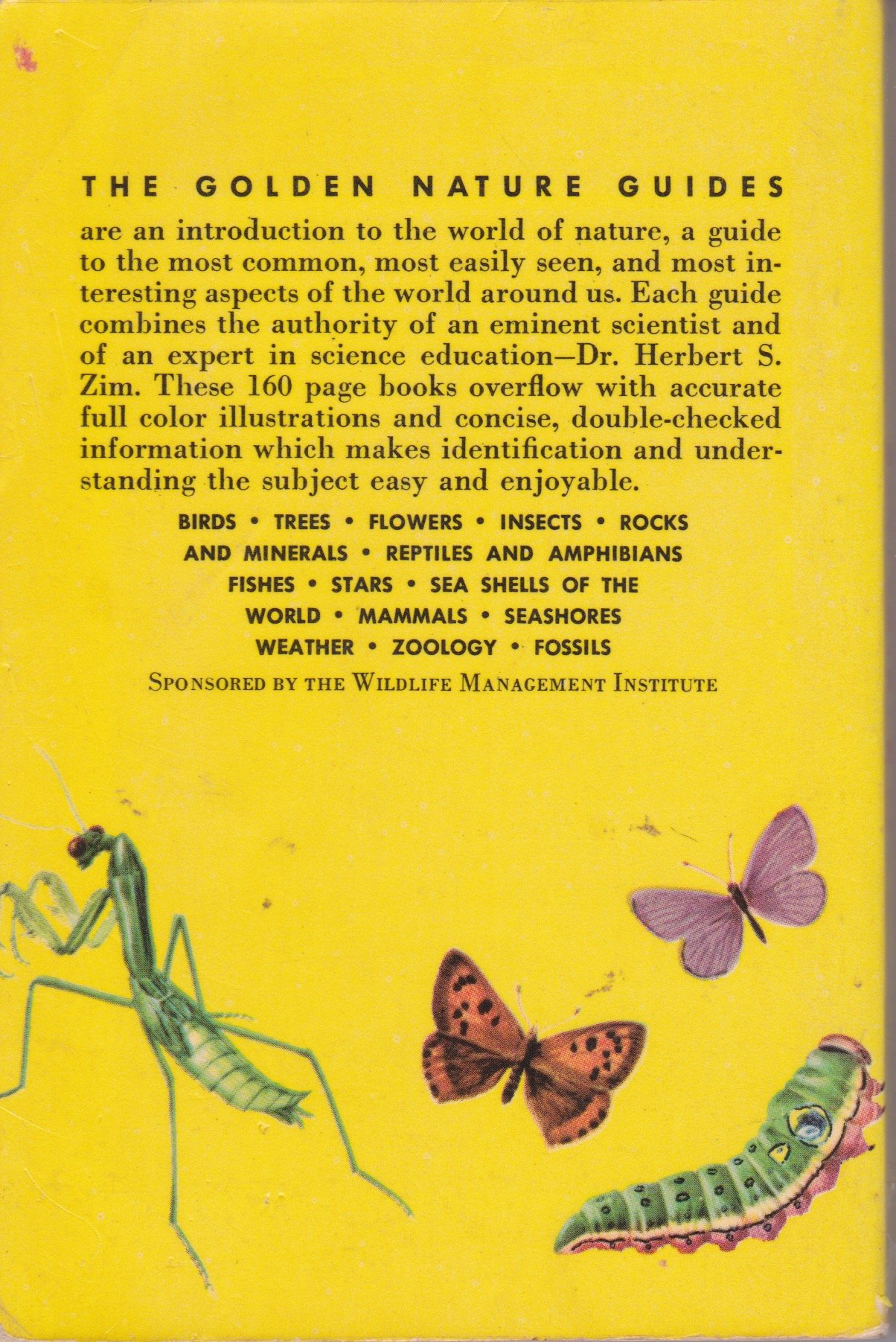 Insects: A Guide to Familiar American Insects - Image 2