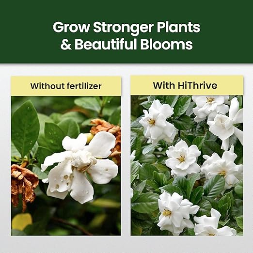 Fertilizante Líquido para Gardenia HiThrive 16 oz (473 ml) miniatura 3