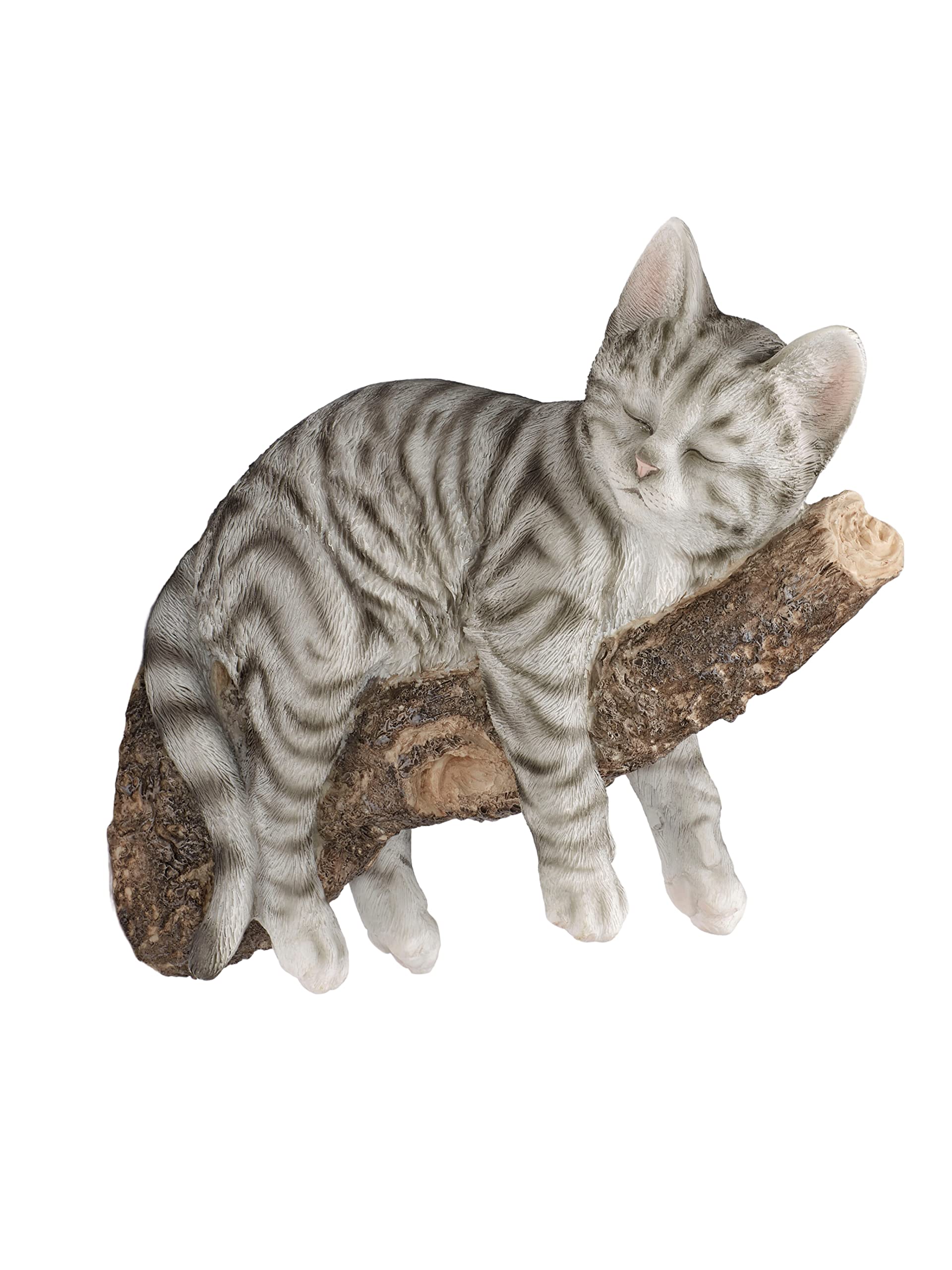 Amazon.co.jp: Touch of Class Catnap Catnap Cat Resting on