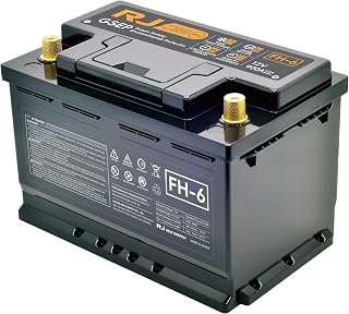 WEALTH,FH-5 Sodium Ion Automotive Battery, Black, High-Performance Electric Vehicle Battery Pack (FH6)